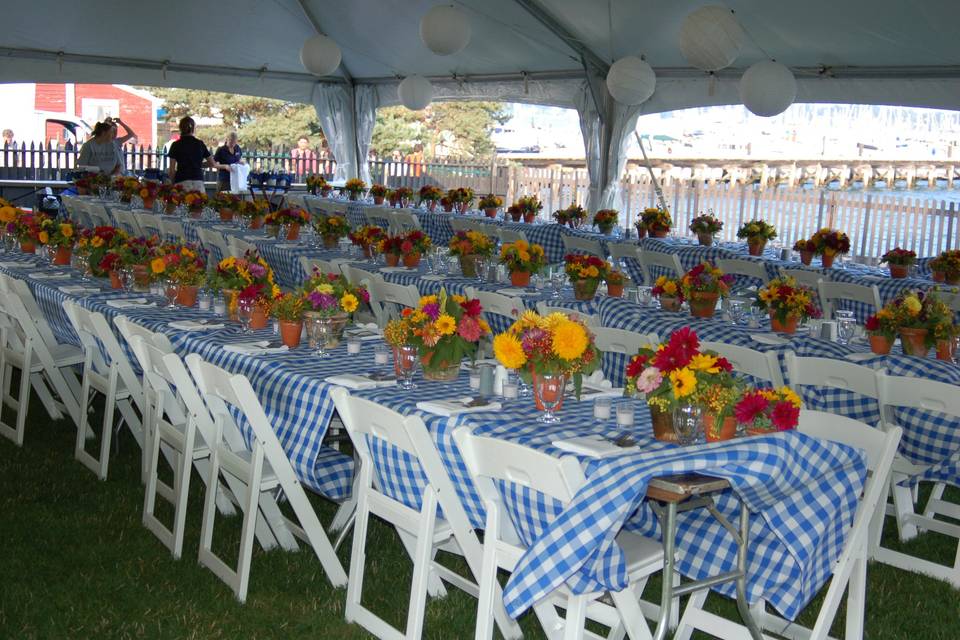 Outdoor  reception area