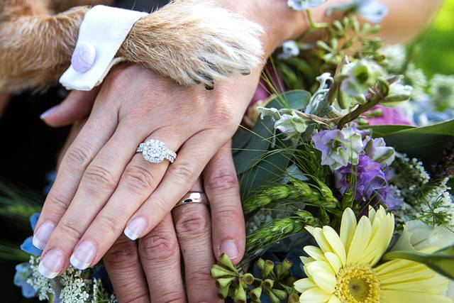 Colorado Springs Wedding Photo