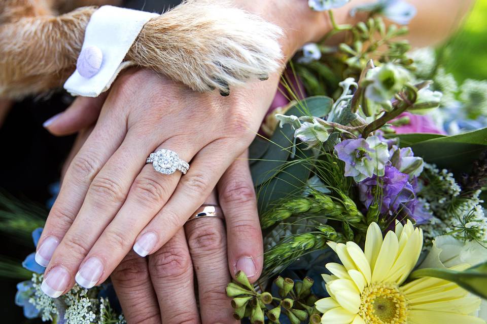 Colorado Springs Wedding Photo