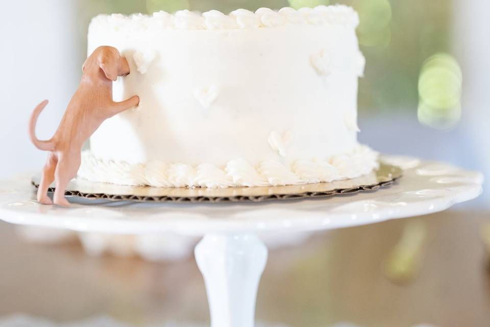 Cincinnati wedding