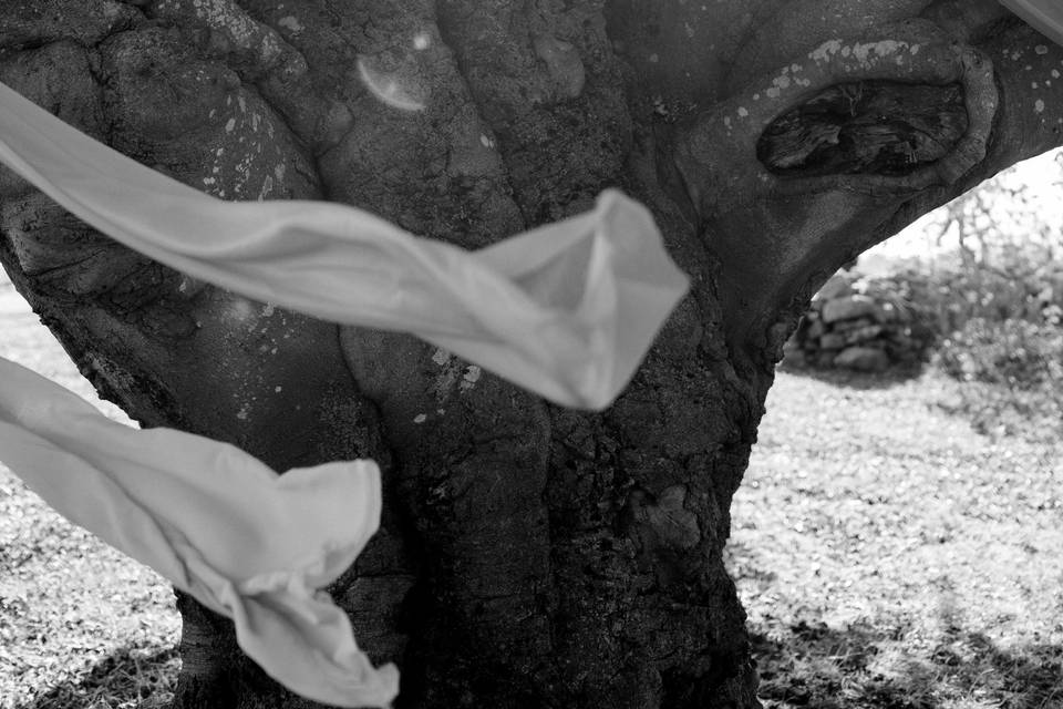 Maine wedding photographer