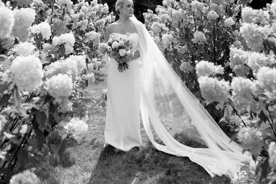 Maine wedding photographer