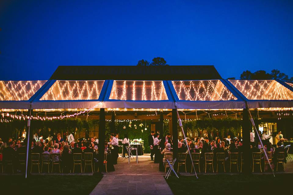 Light strings | Photo: Carolyn Scott