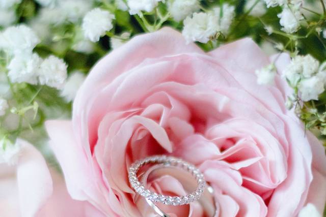 Rachael Wragg Photography