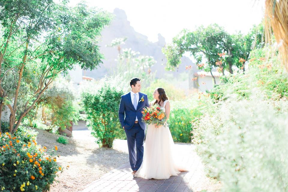 Camelback Mountain backdrop