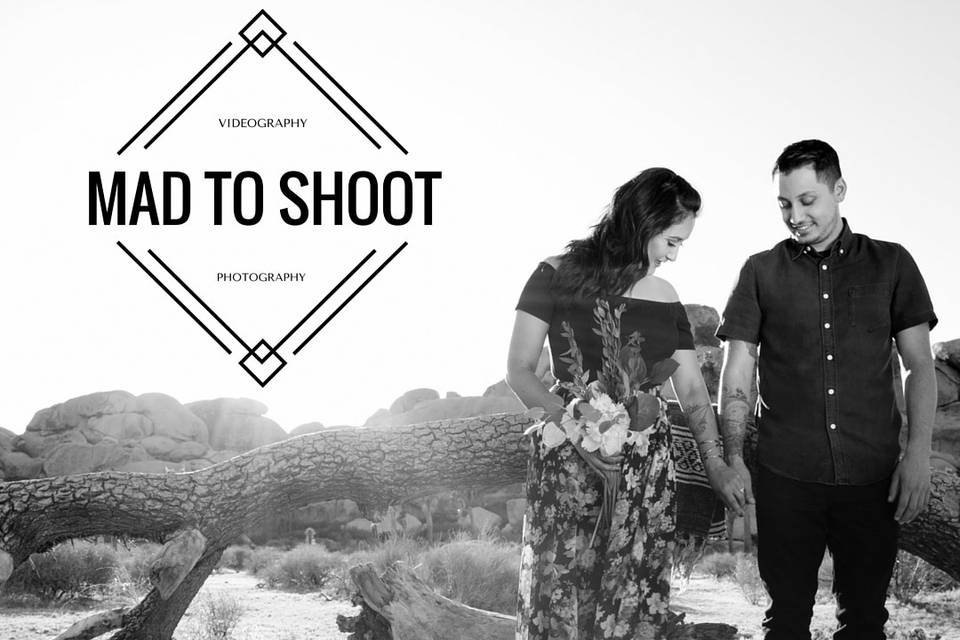 Mad To Shoot Video + Photo Studio