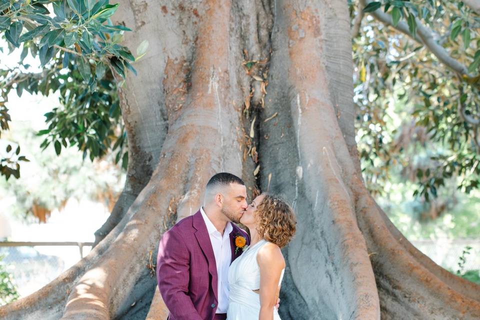 Bride + Groom Portrait