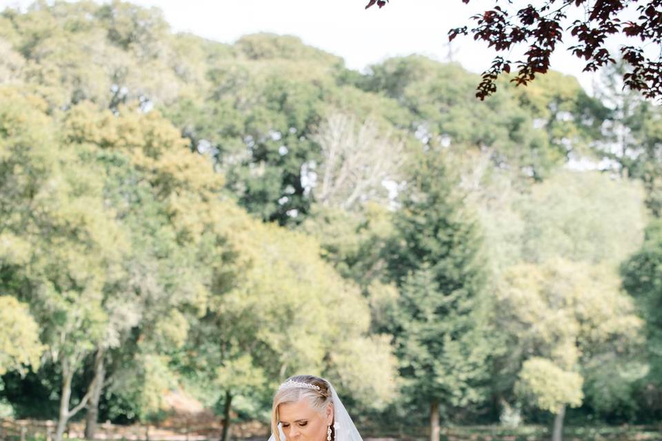 Bride Portrait