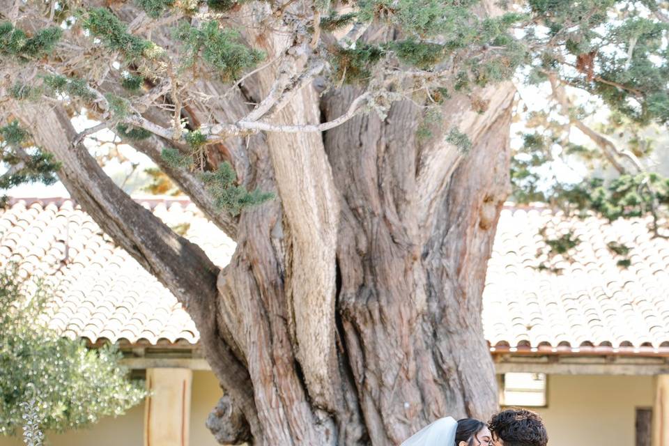 Bride + Groom Portrait
