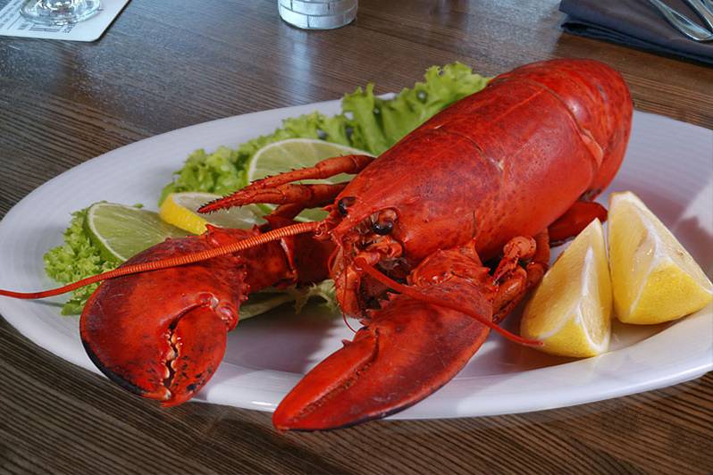 Maine lobster is always available as an entrée choice at Stage Neck Inn.