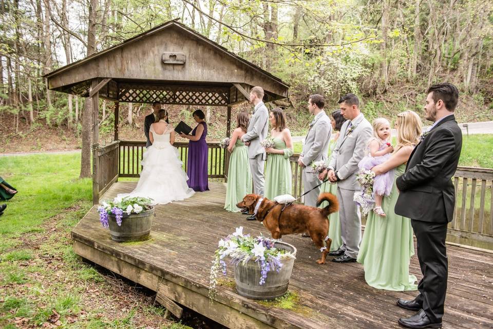 Wedding party at the Gazebo