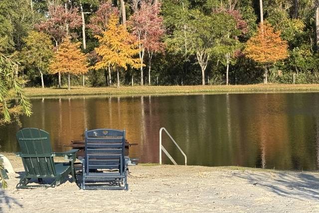 Pond in the fall