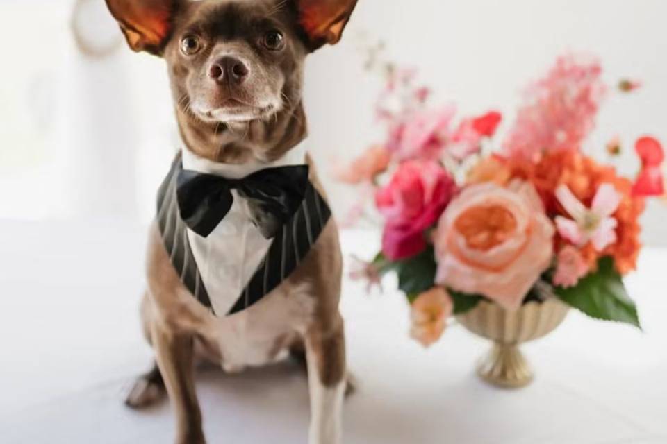 Venue Staff