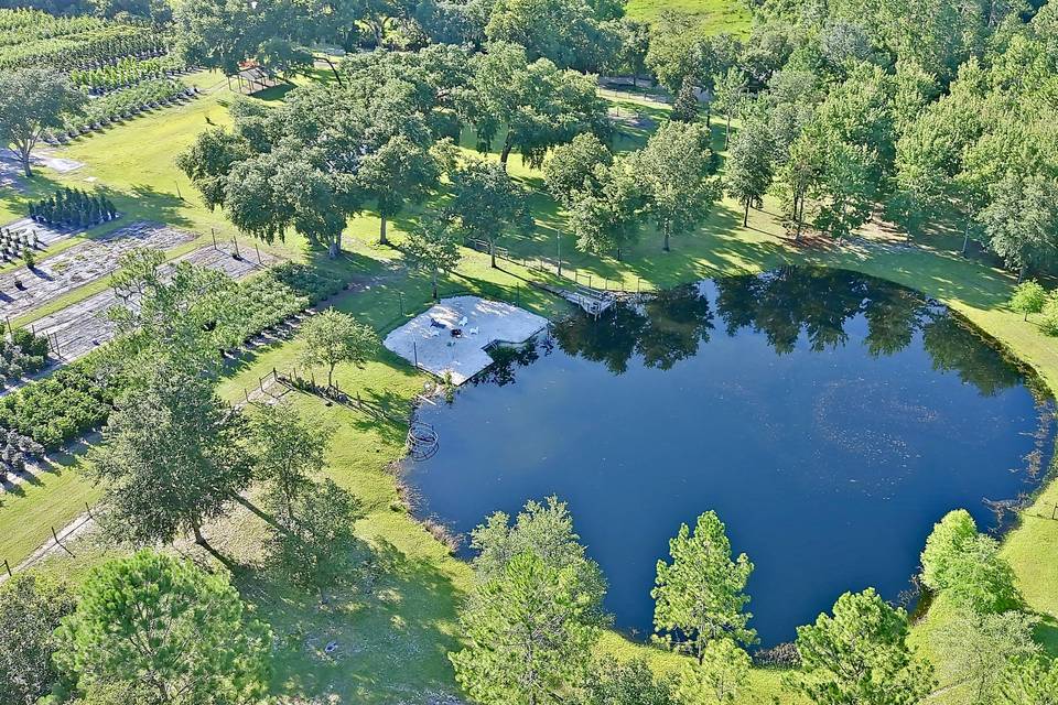 Pond