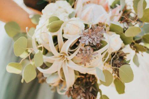 Eucalyptus, protea, airplants