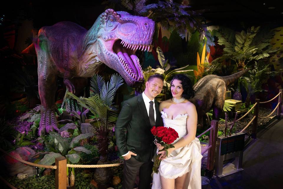 Dinosaur Outpost
