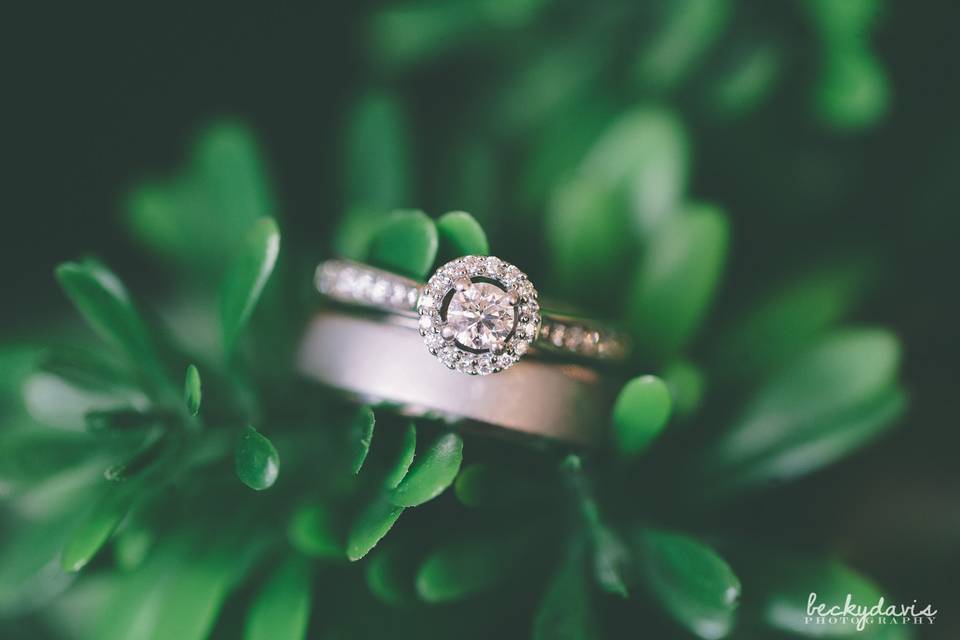 Becky Davis Photography