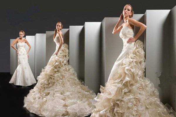 The Ara Wedding dress with Organza ruffles