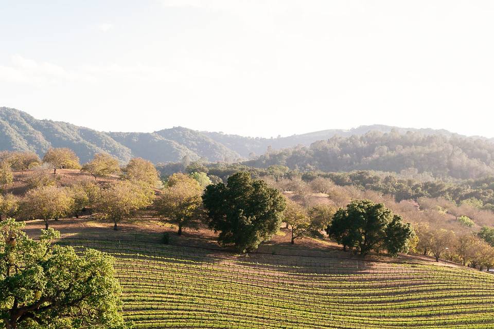 Opolo Vineyards