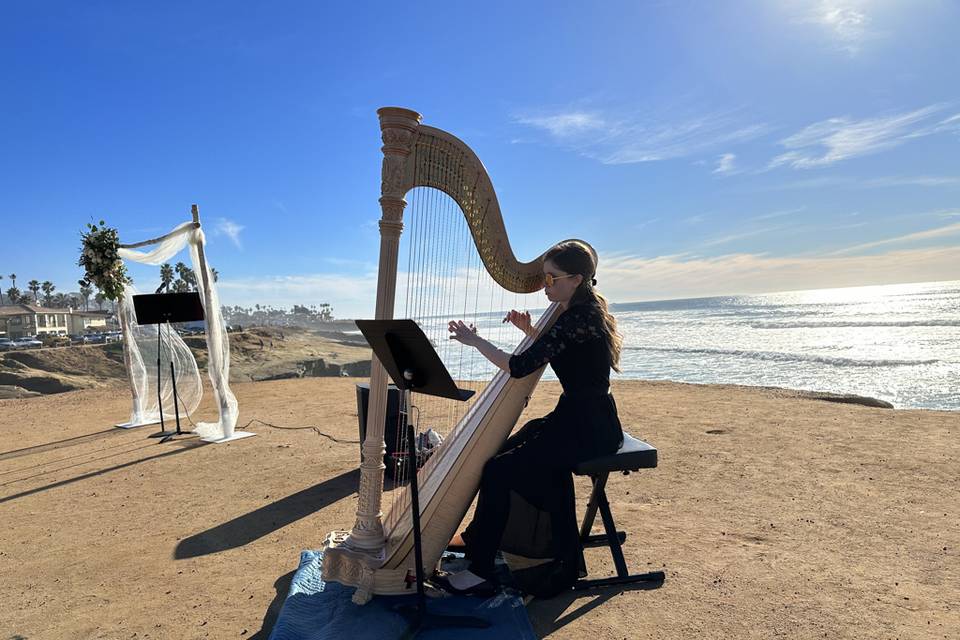 Beach wedding in San Diego