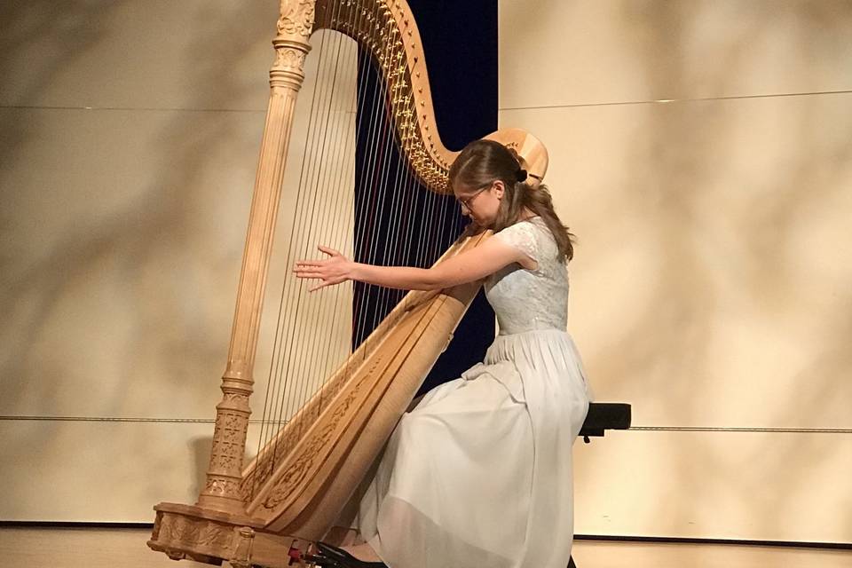 Recital performance