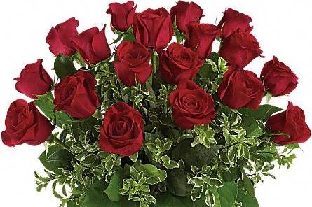 A Royal Bloom