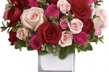 A Royal Bloom