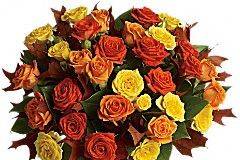 A Royal Bloom