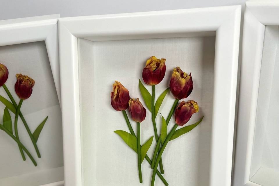 Tulip Shadowbox