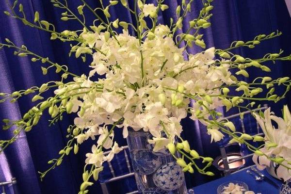 Fantasia Floral