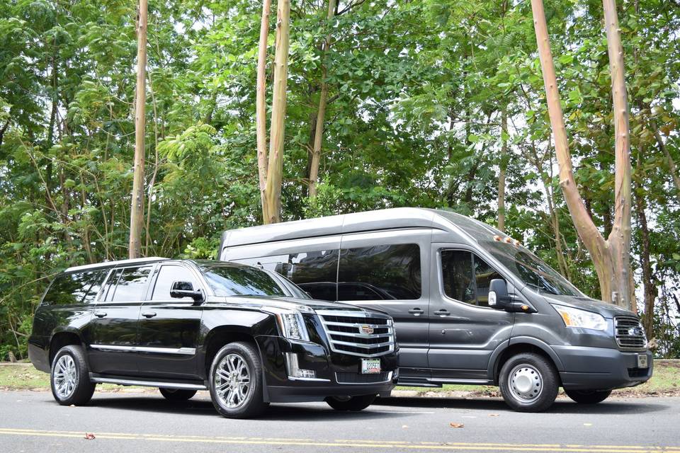 Variety of vehicle sizes for any wedding group