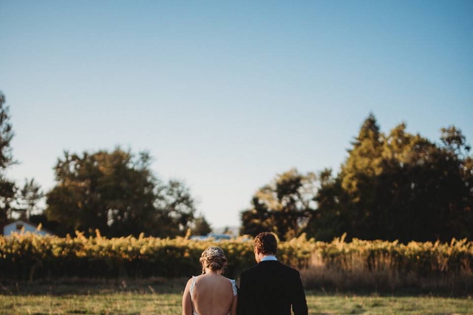Ali Limon Photography