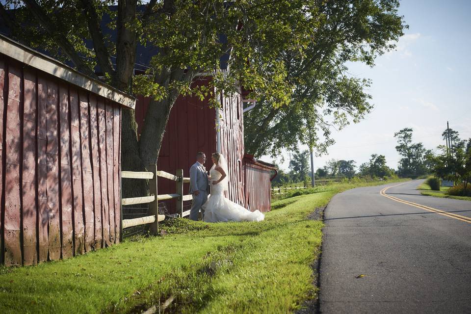 By the fence