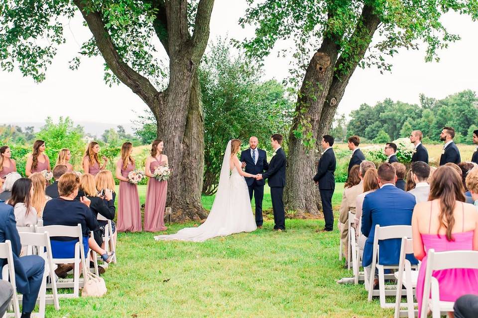 Ceremony under the maple trees