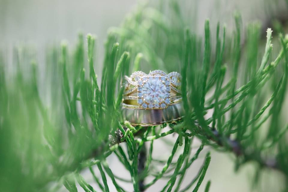 Sensibly Chic Weddings