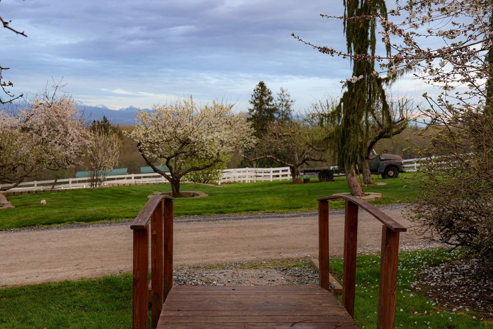 Bridge to the apple orchard
