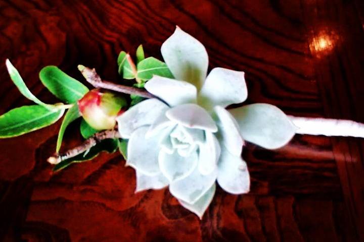 Blooms by Barrett