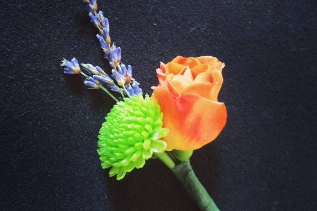 Blooms by Barrett