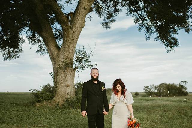 Newlyweds by the tree | Rachel Lee Photography