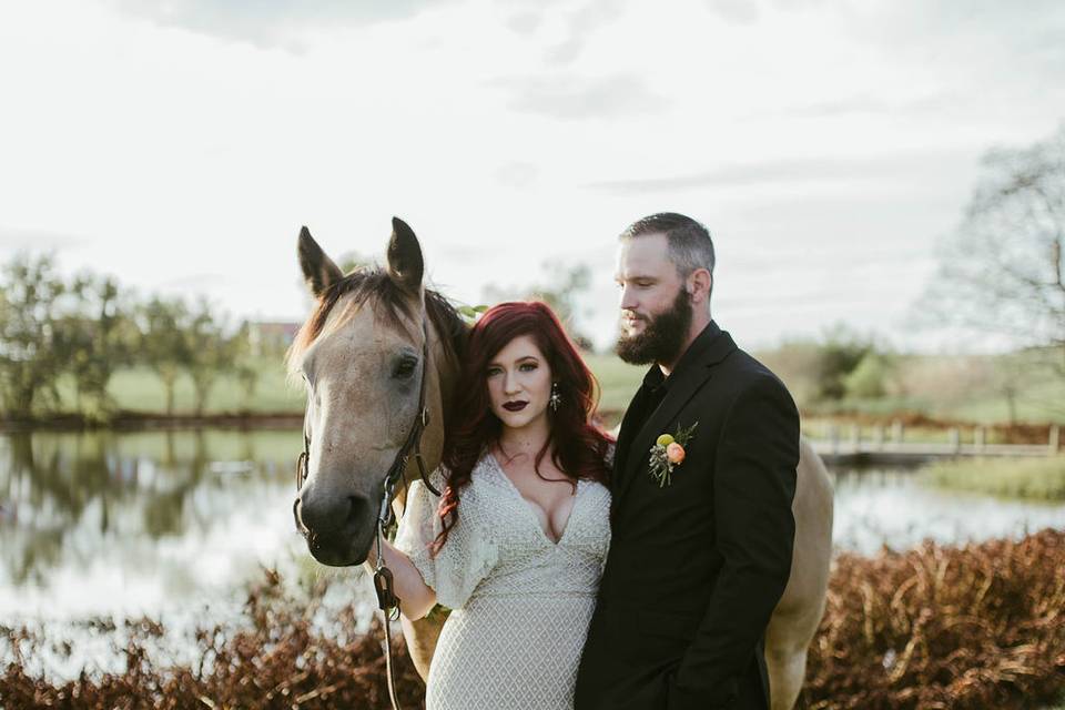 Newlyweds and a horse | Rachel Lee Photography