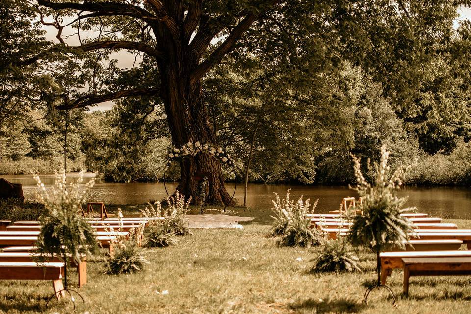 Lakeside Oak Tree Ceremony