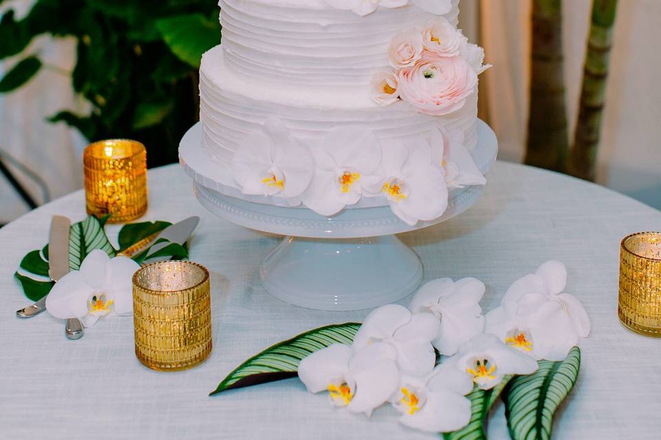 Elegant minimal cake