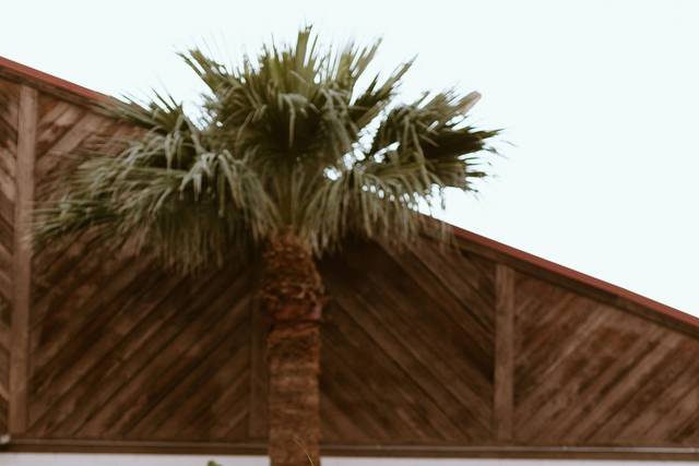 Venue