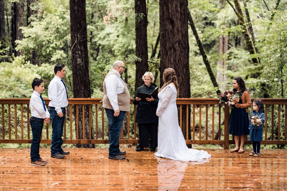 Redwoods wedding