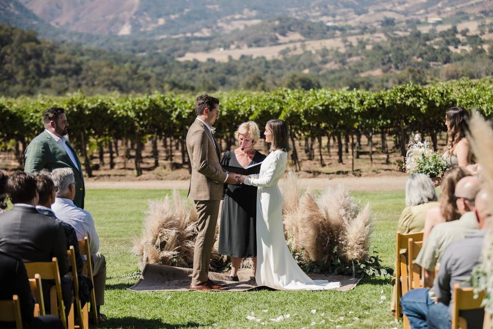 Vineyard wedding