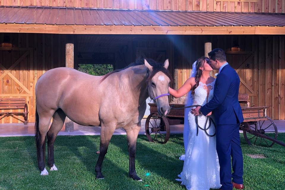 Newlyweds with Horse