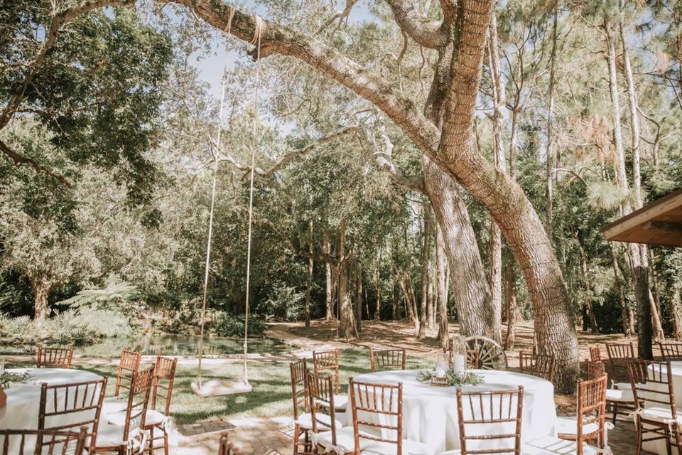 Reception with Waterfall View