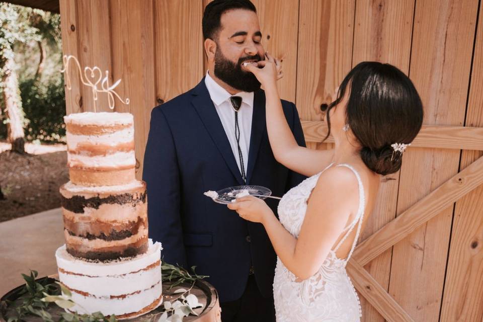 Couple with Wedding Cake