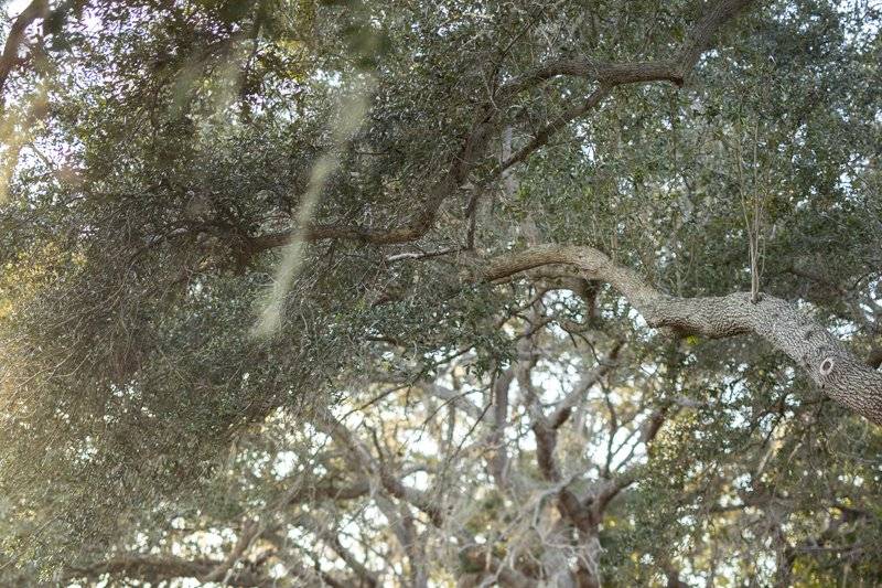 Todd Gilman Photography