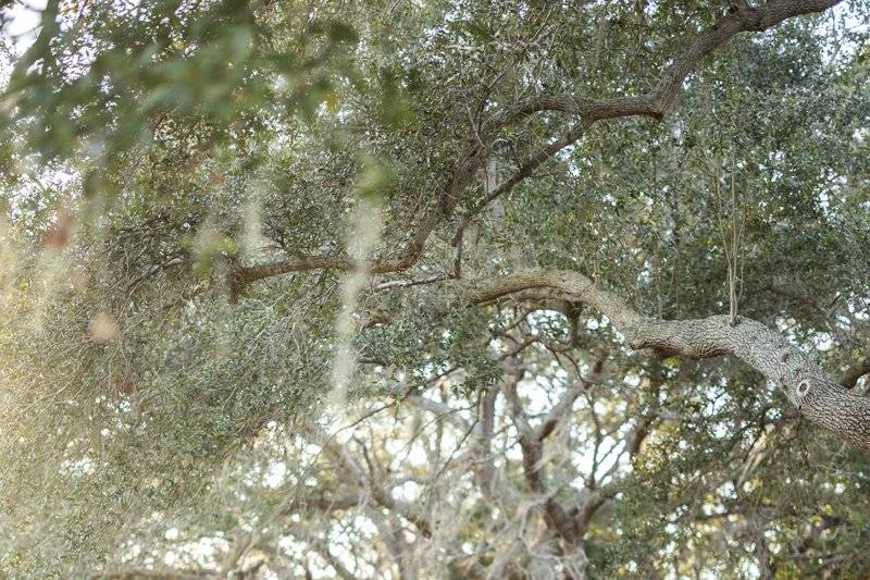 Todd Gilman Photography